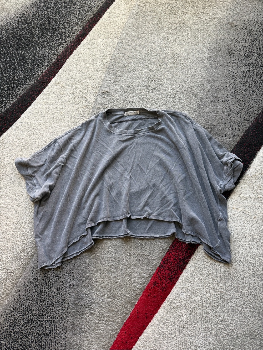 We The Free Gray Lived In Slouchy Oversized Cropped Tee
